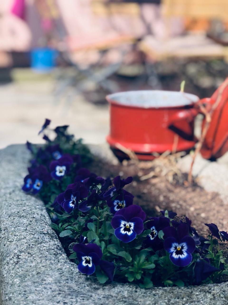 Altes Handelshaus Plauen Esterno foto